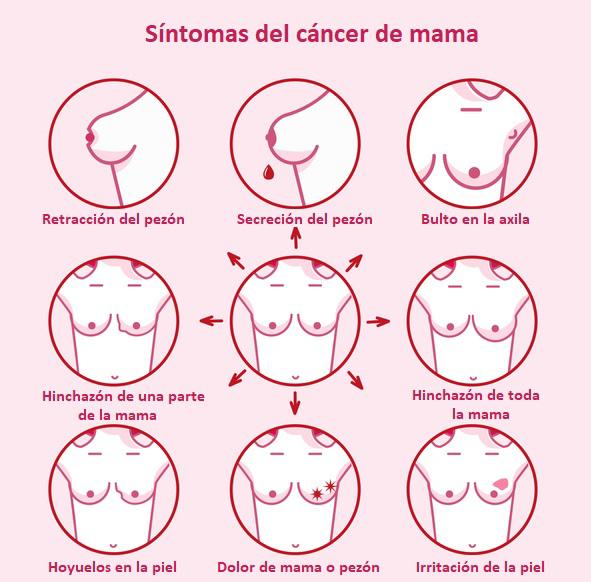 WhatsApp Image 2024 10 21 at 8.41.08 AM 1